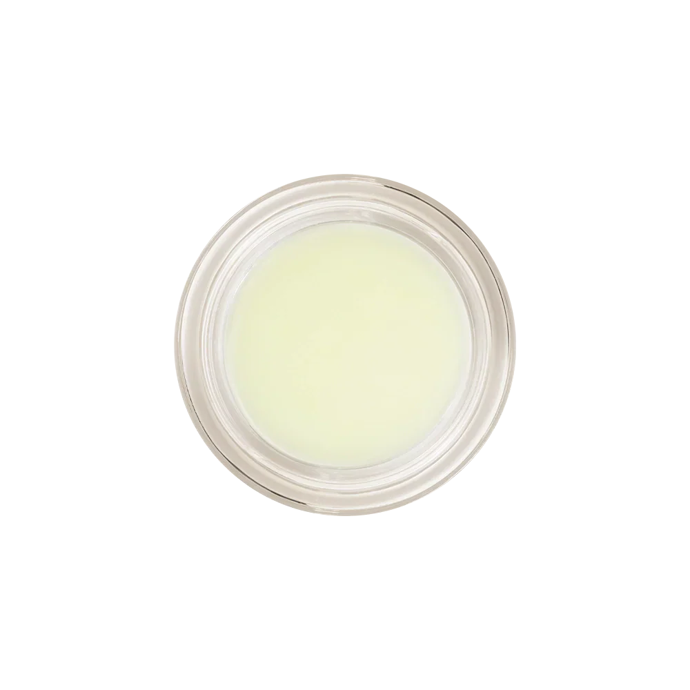 Honeybalm Mint - Image 9