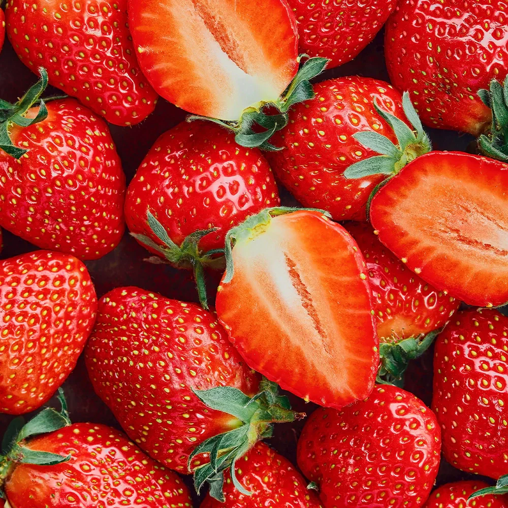 Honeybalm Strawberry - Image 4